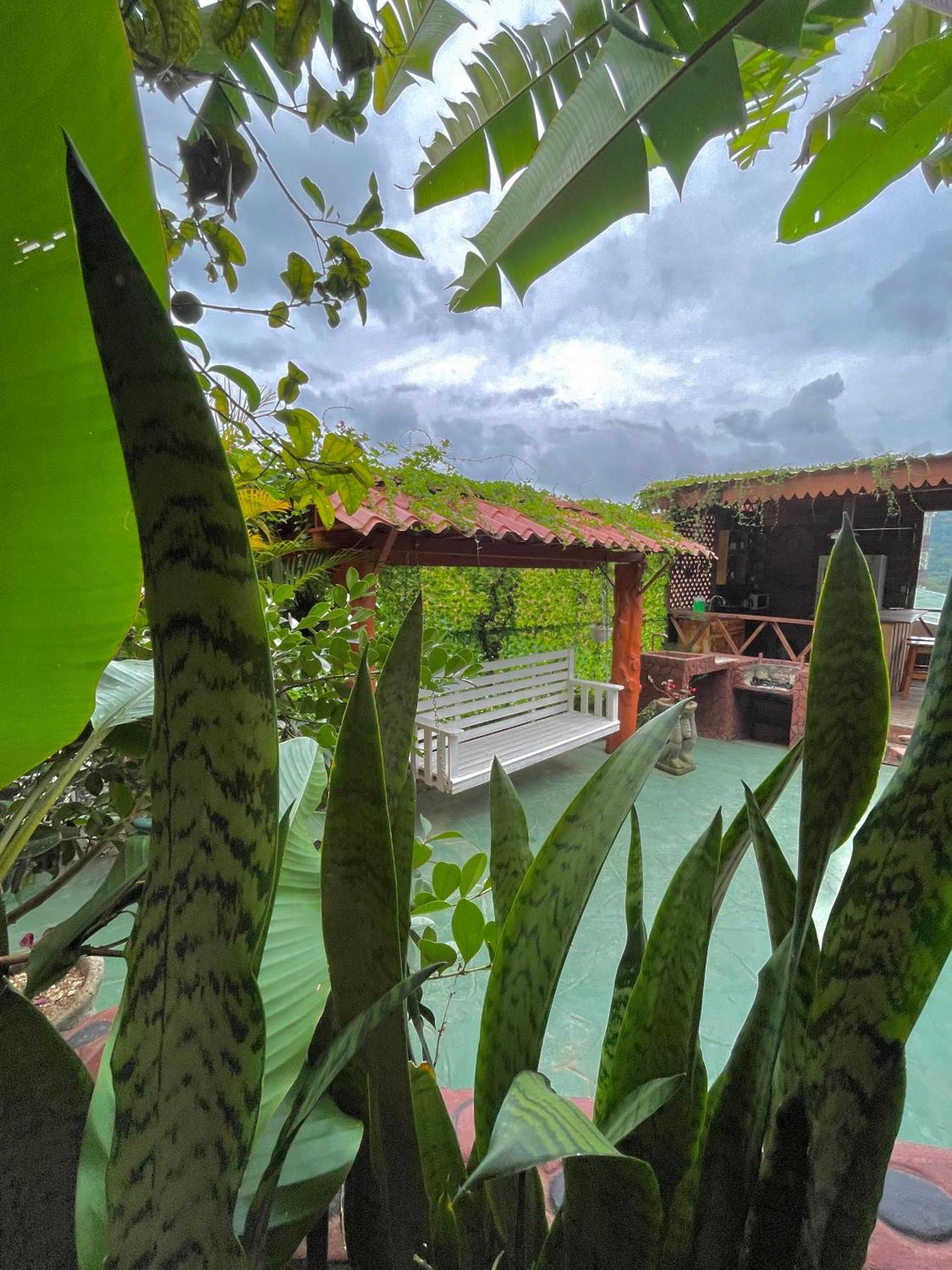 Dreams Lodge Orosi Картаго Екстериор снимка